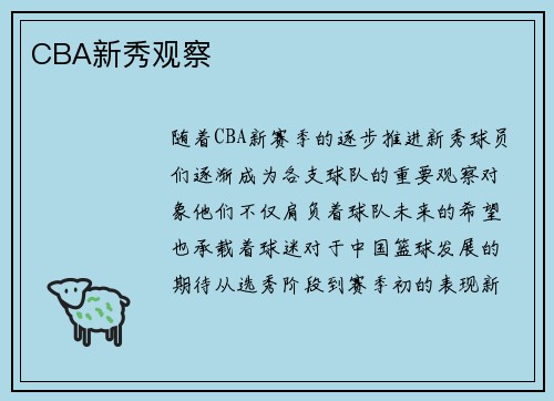 CBA新秀观察